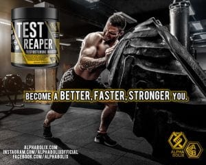 testosterone tribulus