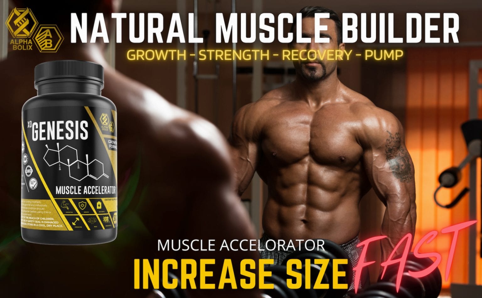 Xo Genesis Muscle Accelerator AlphaBolix