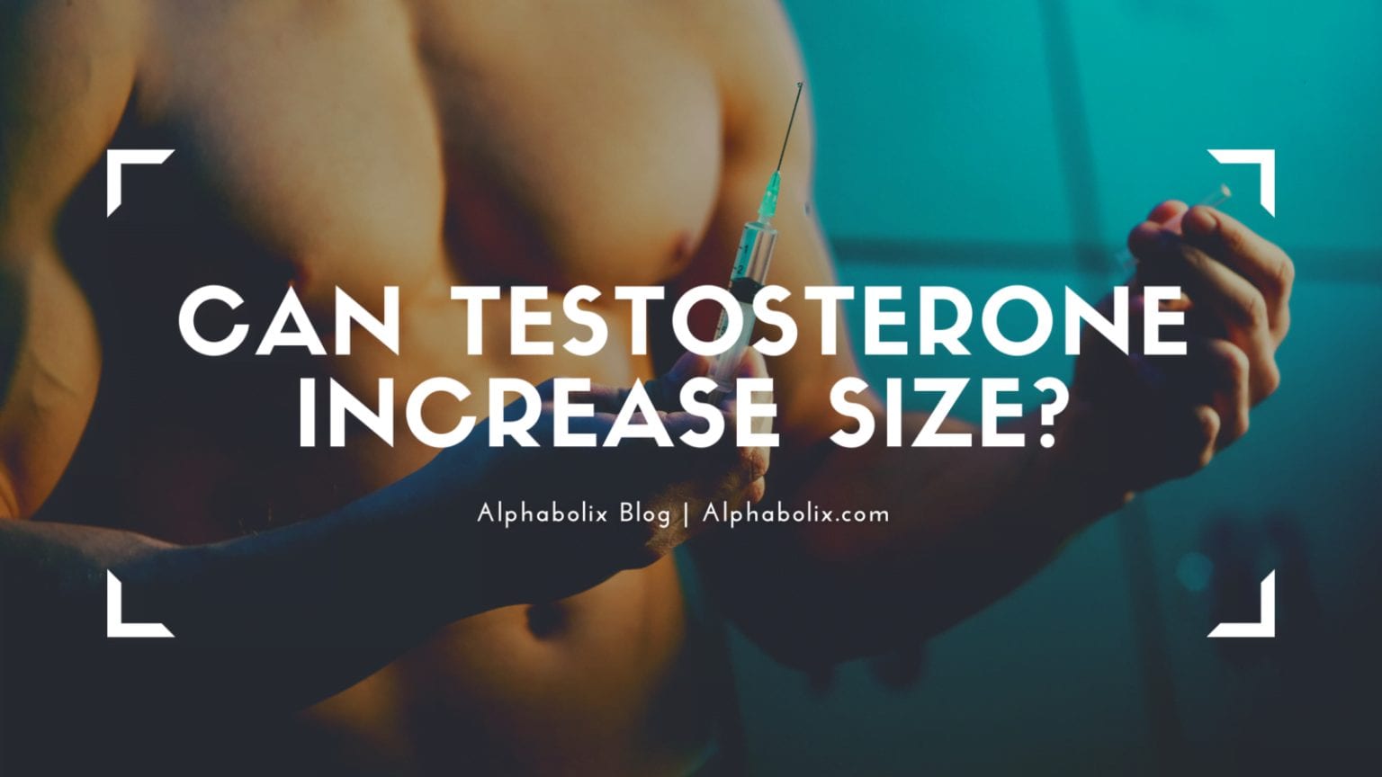 Can testosterone increase size