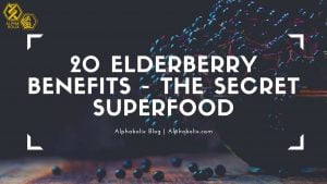 20-Elderberry-Benefits-the-secret-superfood